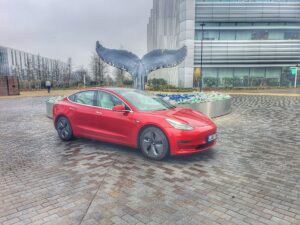 Tesla Model 3 AWD Long Range 2019, Sam - EV Owner Review