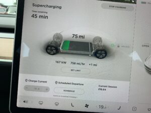 Tesla Model 3 Dual Motor Long Range 2020, Stephen - EV Owner Review