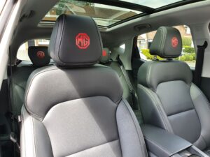 MG ZS EV Exclusive 2020, Rich - EV Owner Review
