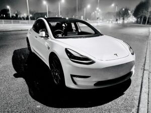 Tesla Model 3 Long Range 2019, Brian - EV Owner Review