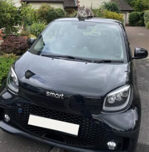 smart eq fortwo ev owner review