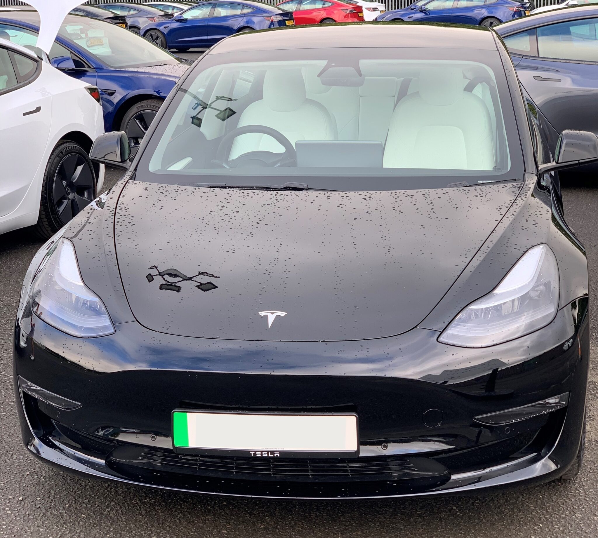 Tesla Model 3 Long Range 2021, Stewart - EV Owner Review - Electric Road