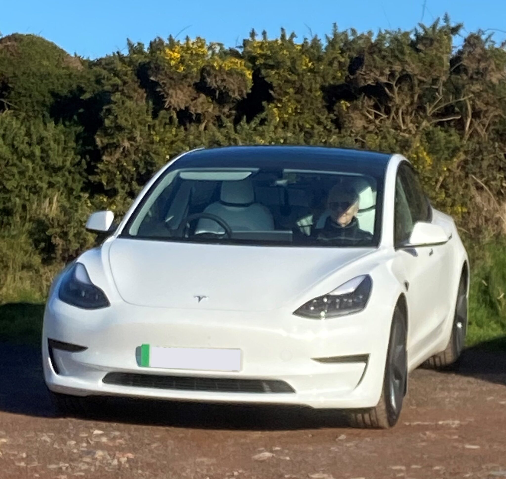 Tesla Model 3 2021 electric car owner review - Electric Road