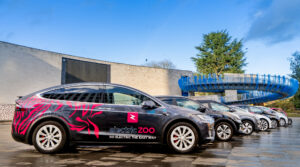 Company Spotlight 4 - Electric Zoo