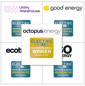Top 5 Electricity Suppliers - Winter 2022