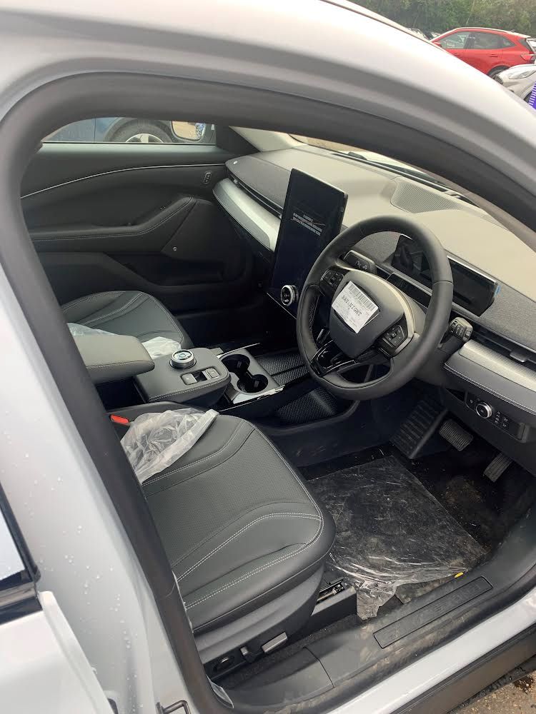 Mustang Mach-E 2021 electric car owner review