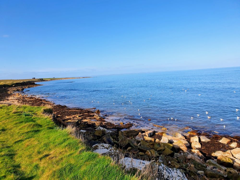 Hyundai Kona 2024 - Bakewell to St. Andrews, Simon D
