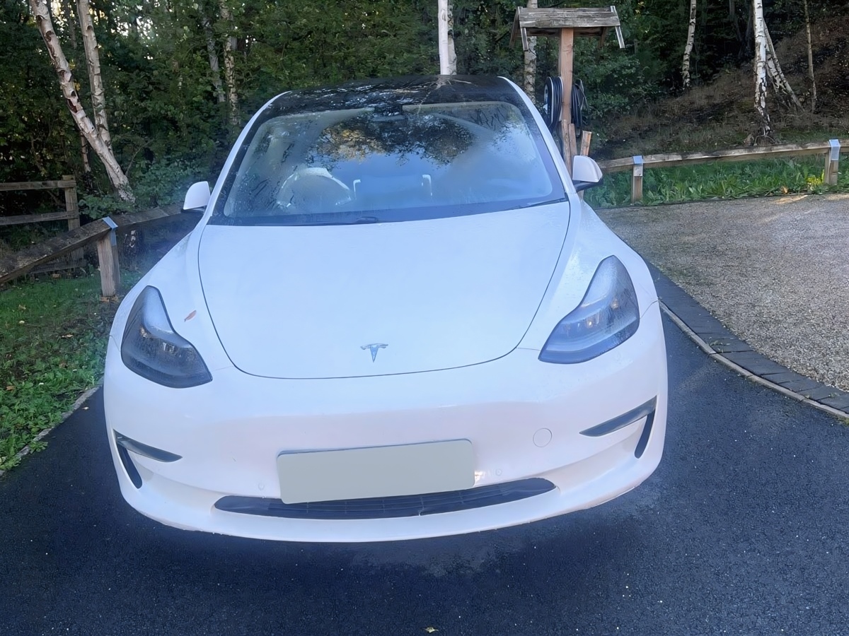 Gwyn's 2020 Tesla Model 3 Dual Motor Long Range parked at home